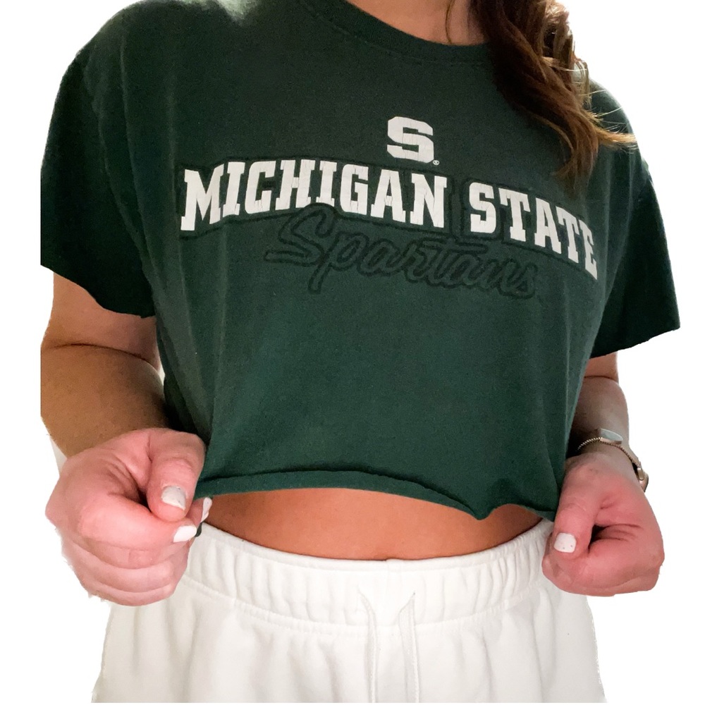 Michigan state crop top